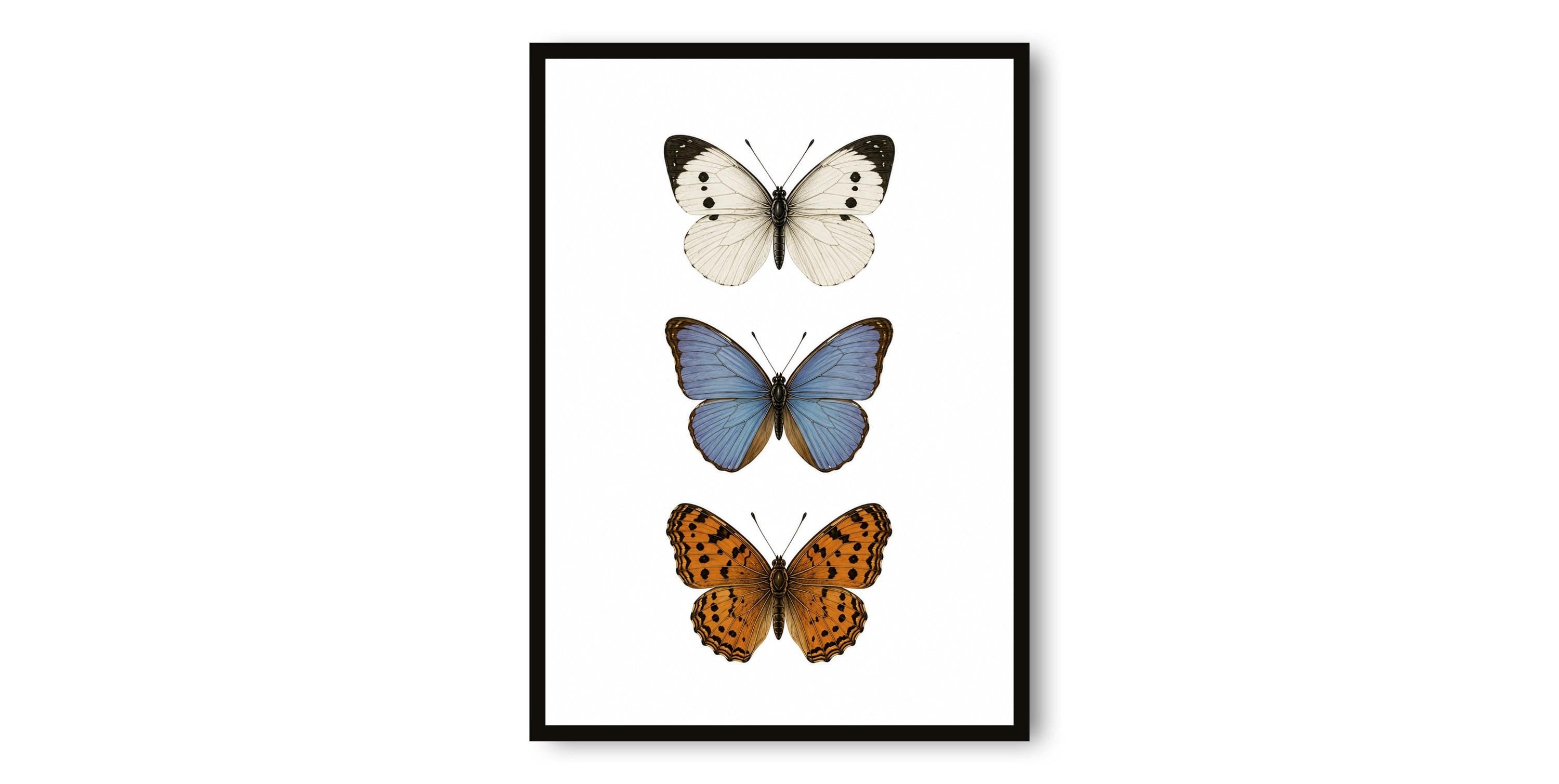 Vintage Butterfly Print