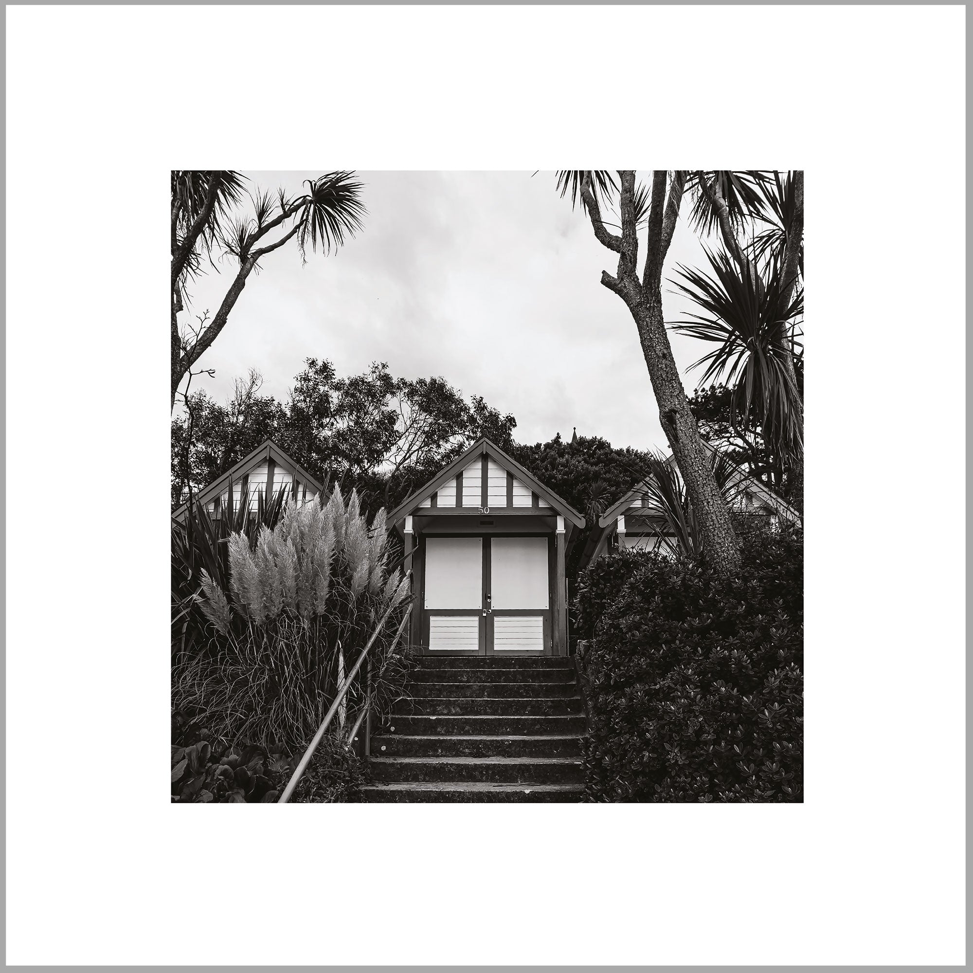 A black and white photograph of a set of stairs leading up to a wooden structure with a covered porch, surrounded by palm trees and other vegetation.