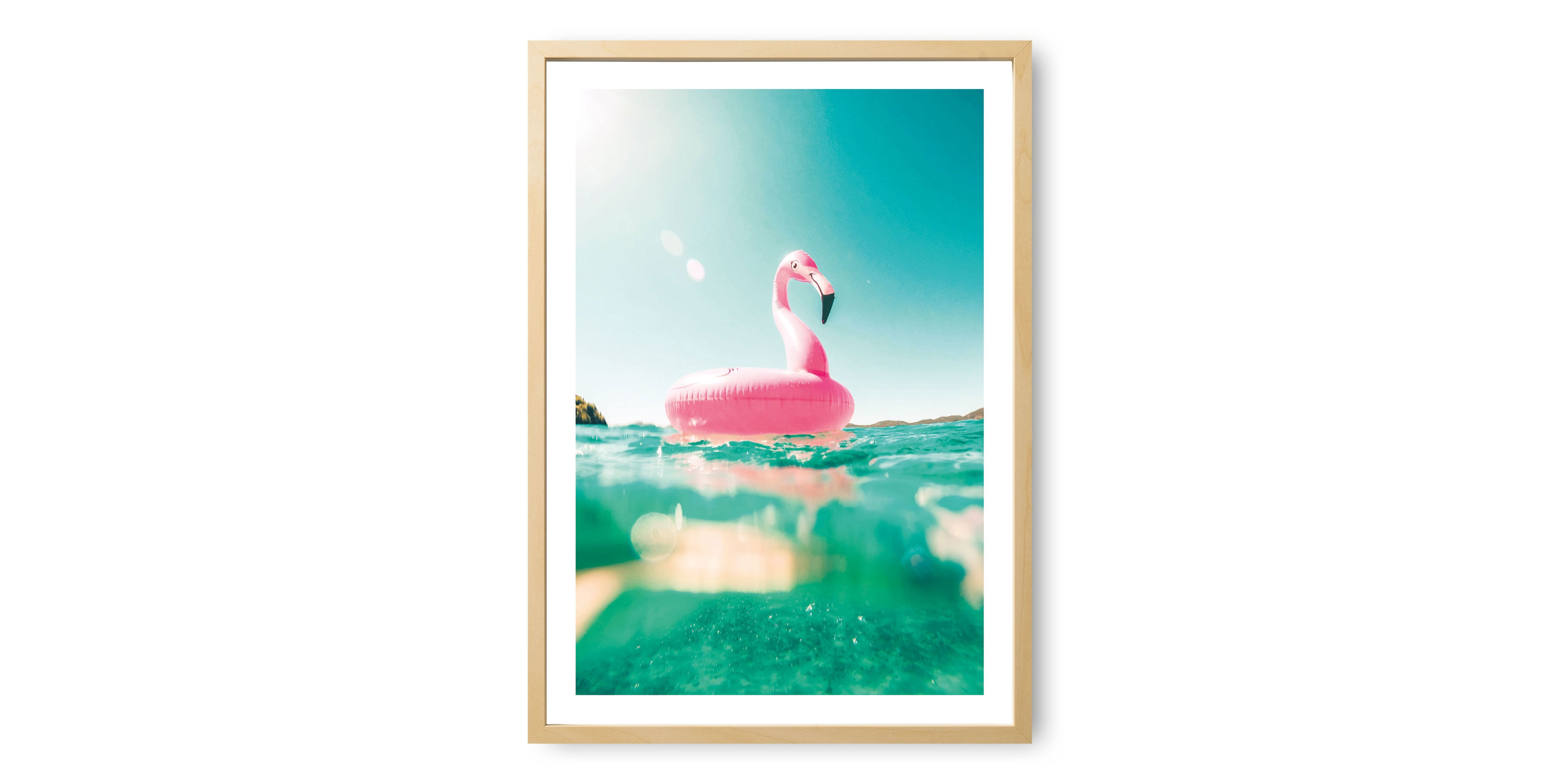 Flamingo Wall Art Print