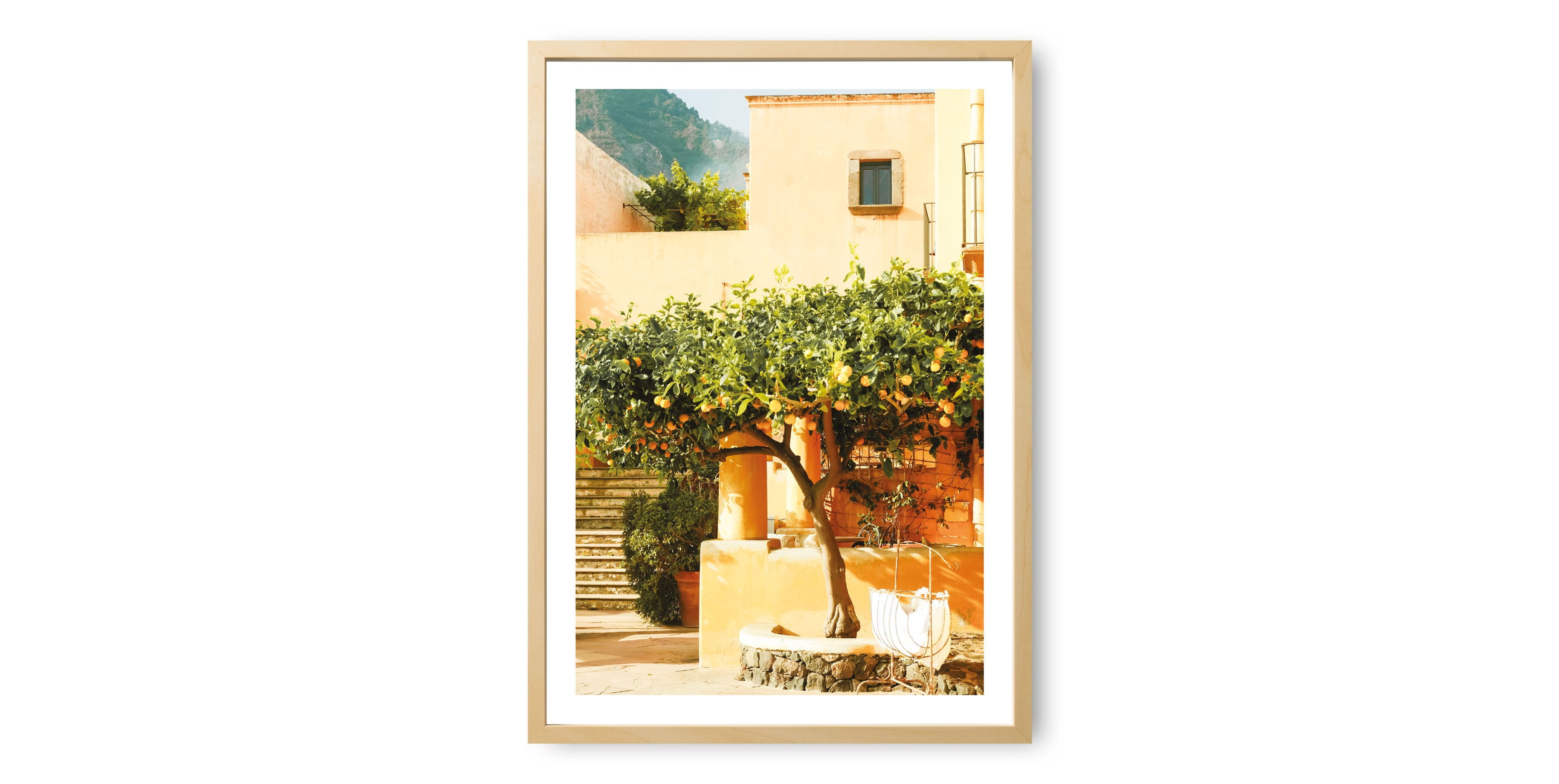 Mediterranean Lemon Tree Print