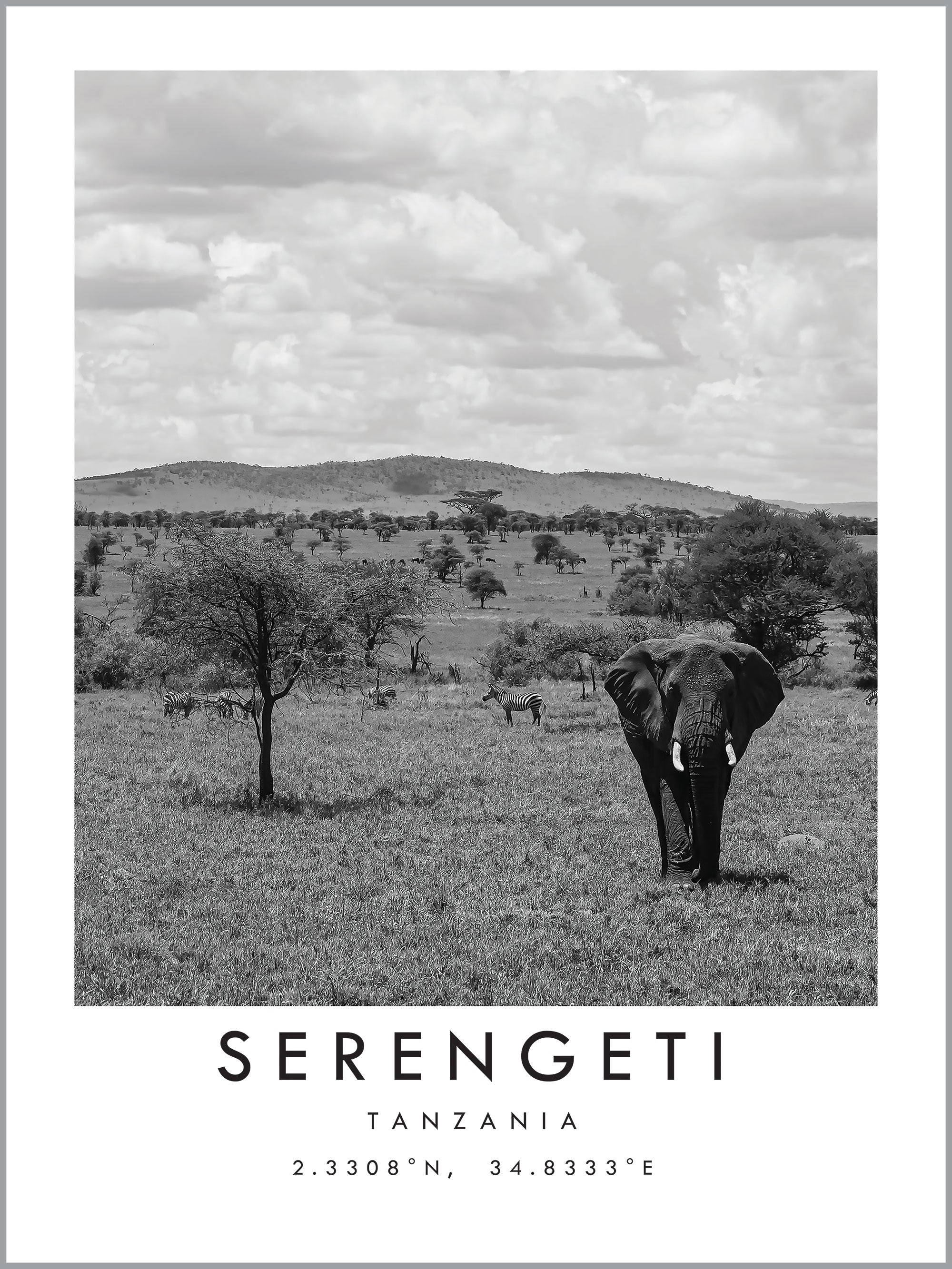 Serengeti Travel Print