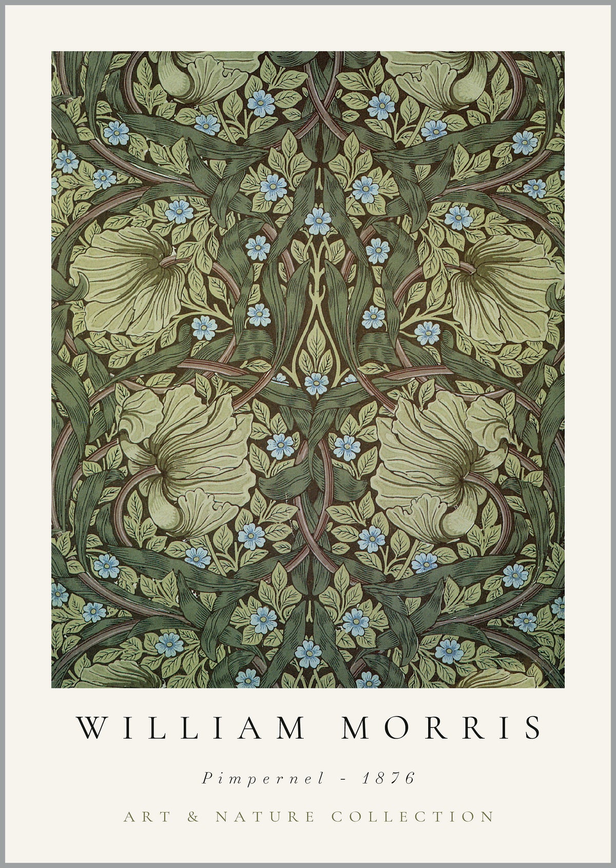William Morris Pimpernel Print