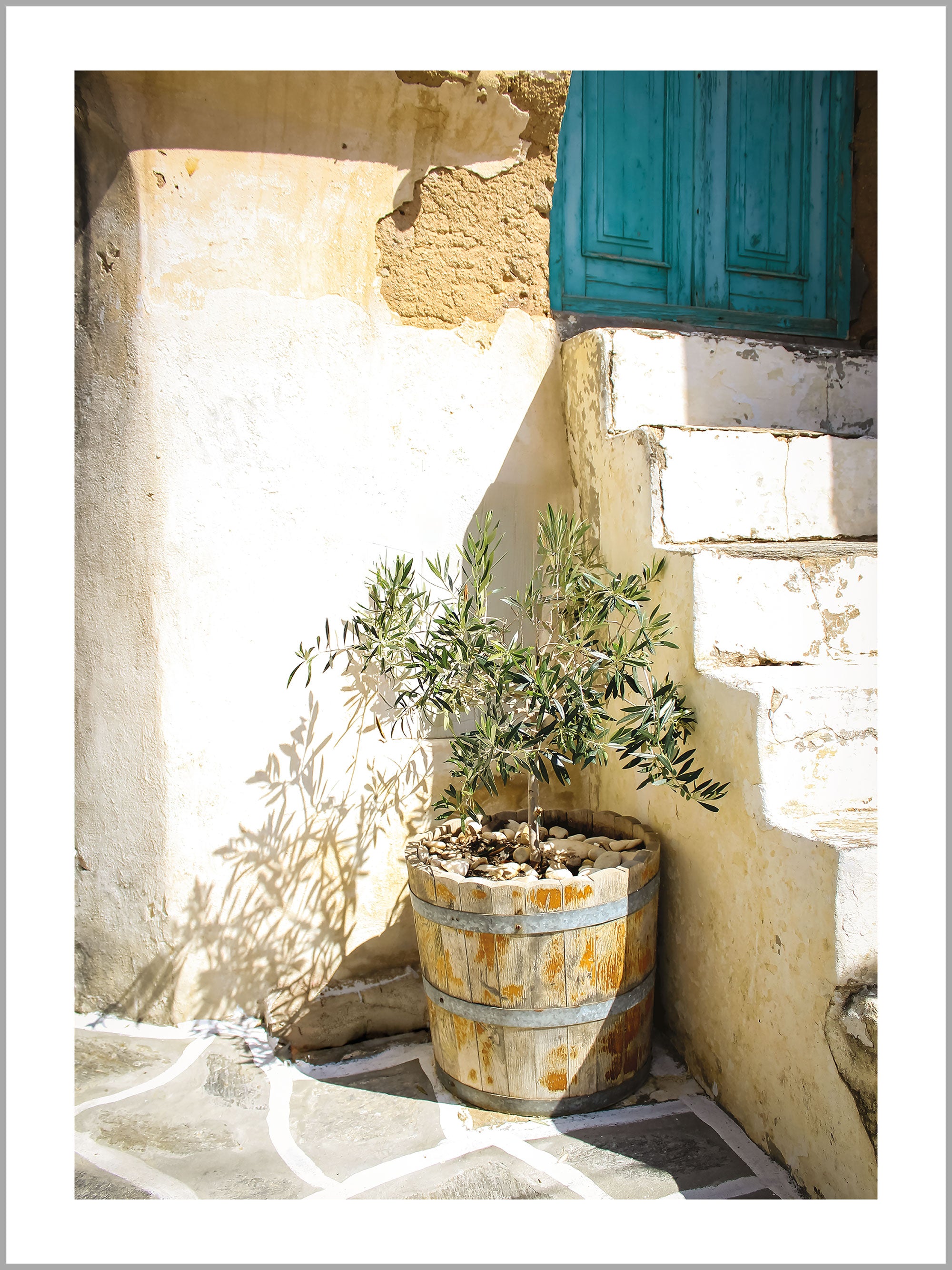 Mediterranean Olive Tree Print