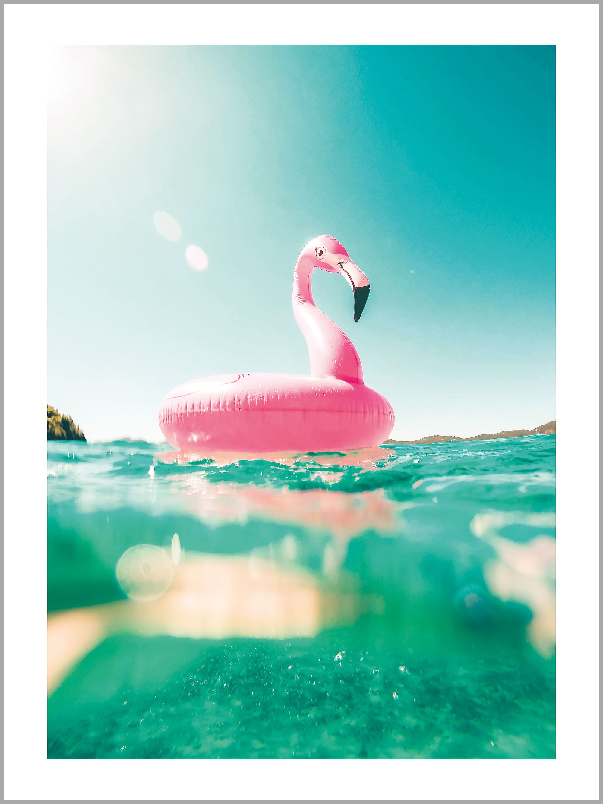 Flamingo Wall Art Print