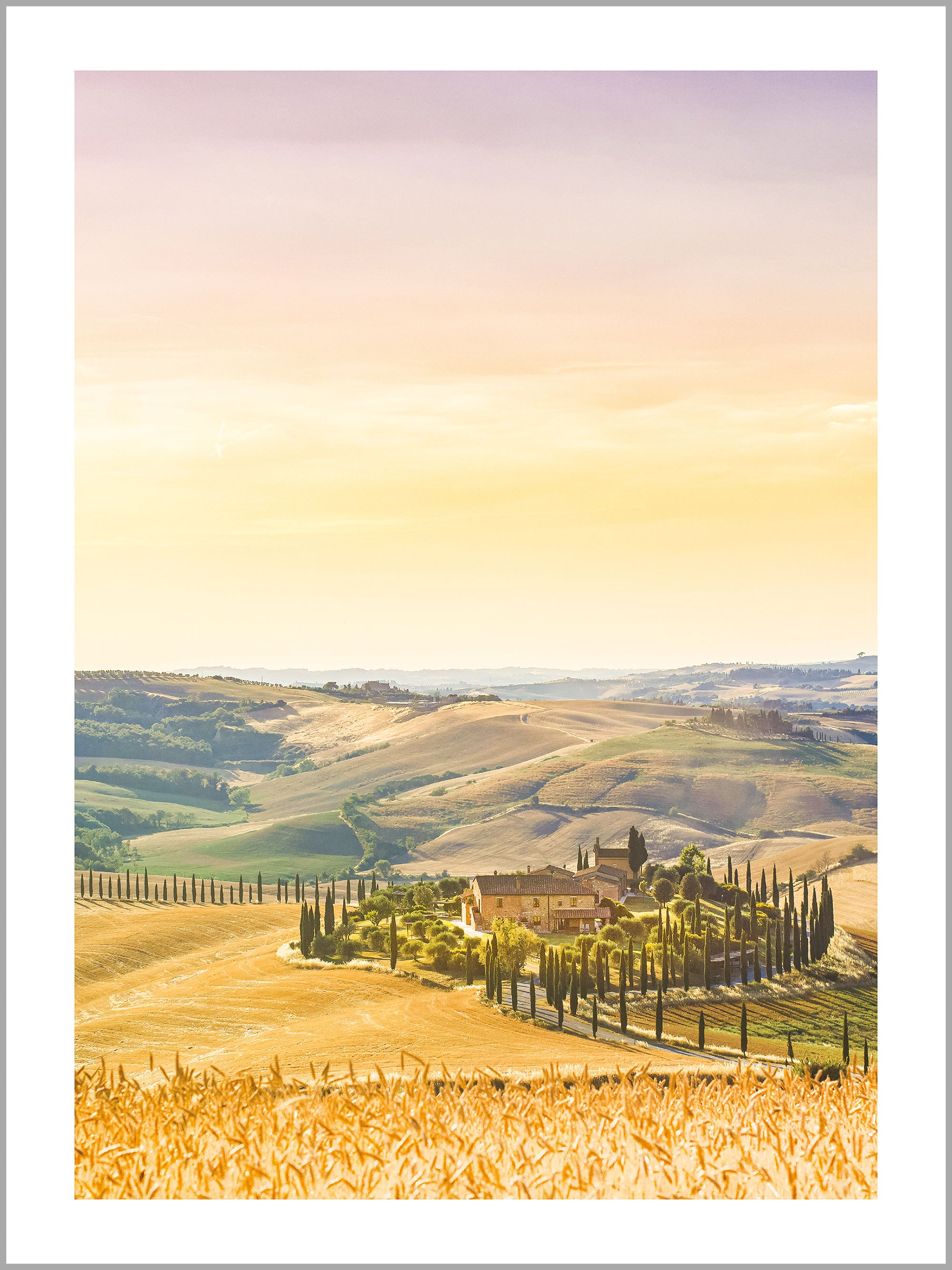 Tuscany Golden Hills Print