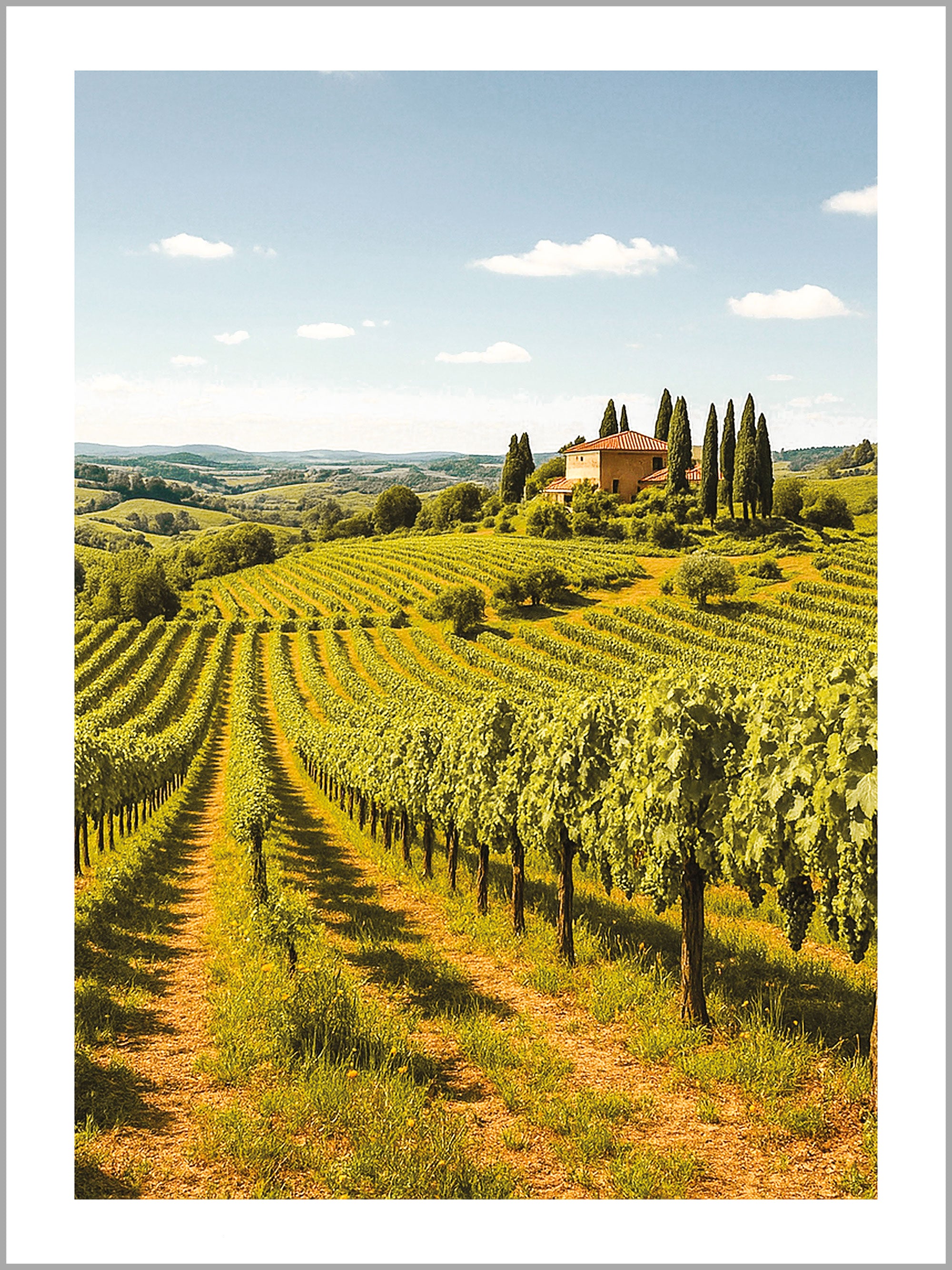 Tuscany Vineyard Landscape Print