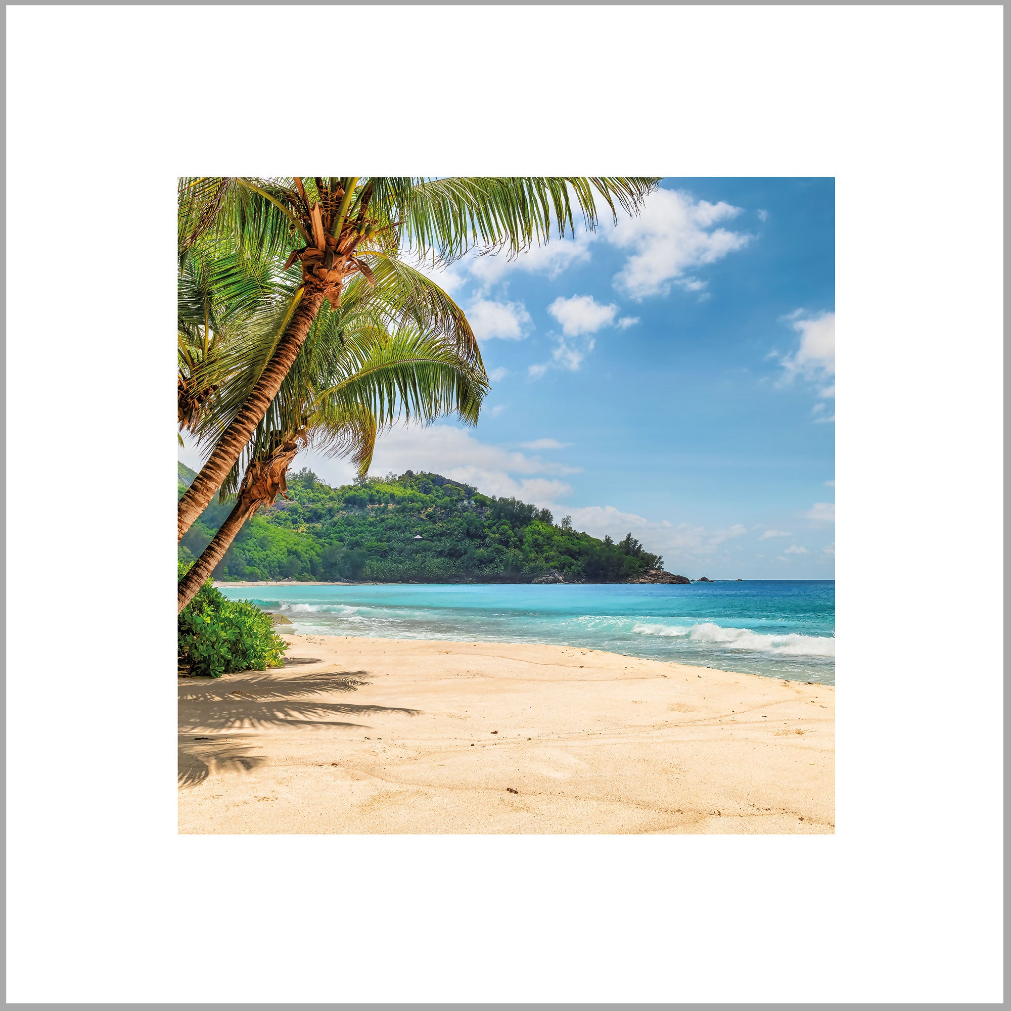 A serene tropical beach scene with swaying palm trees, a clear blue sky, and a calm turquoise ocean.