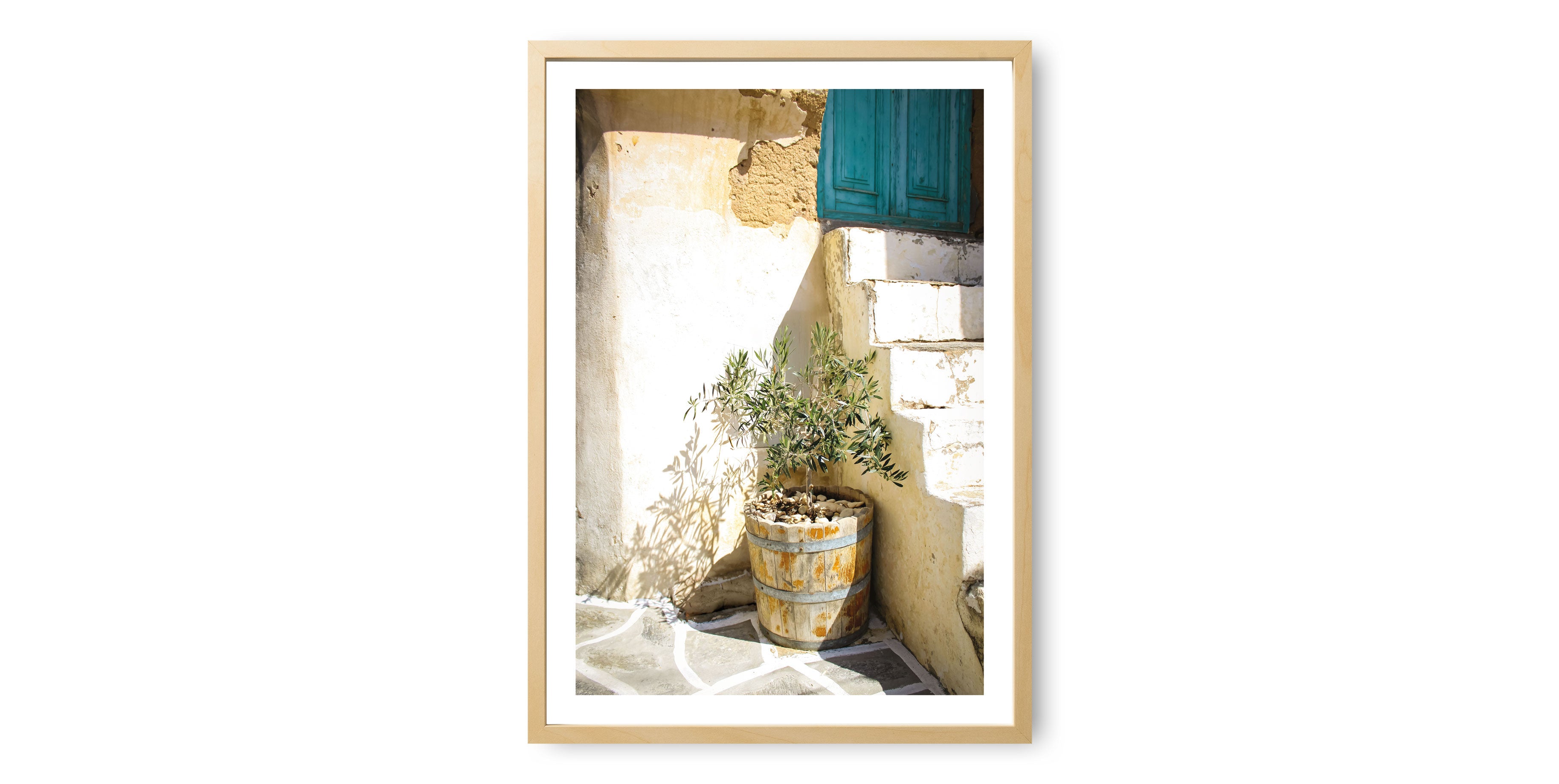 Mediterranean Olive Tree Print