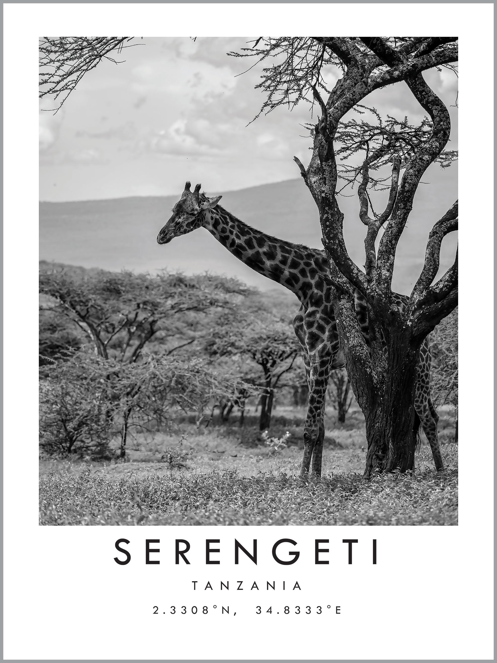 Serengeti Travel Print