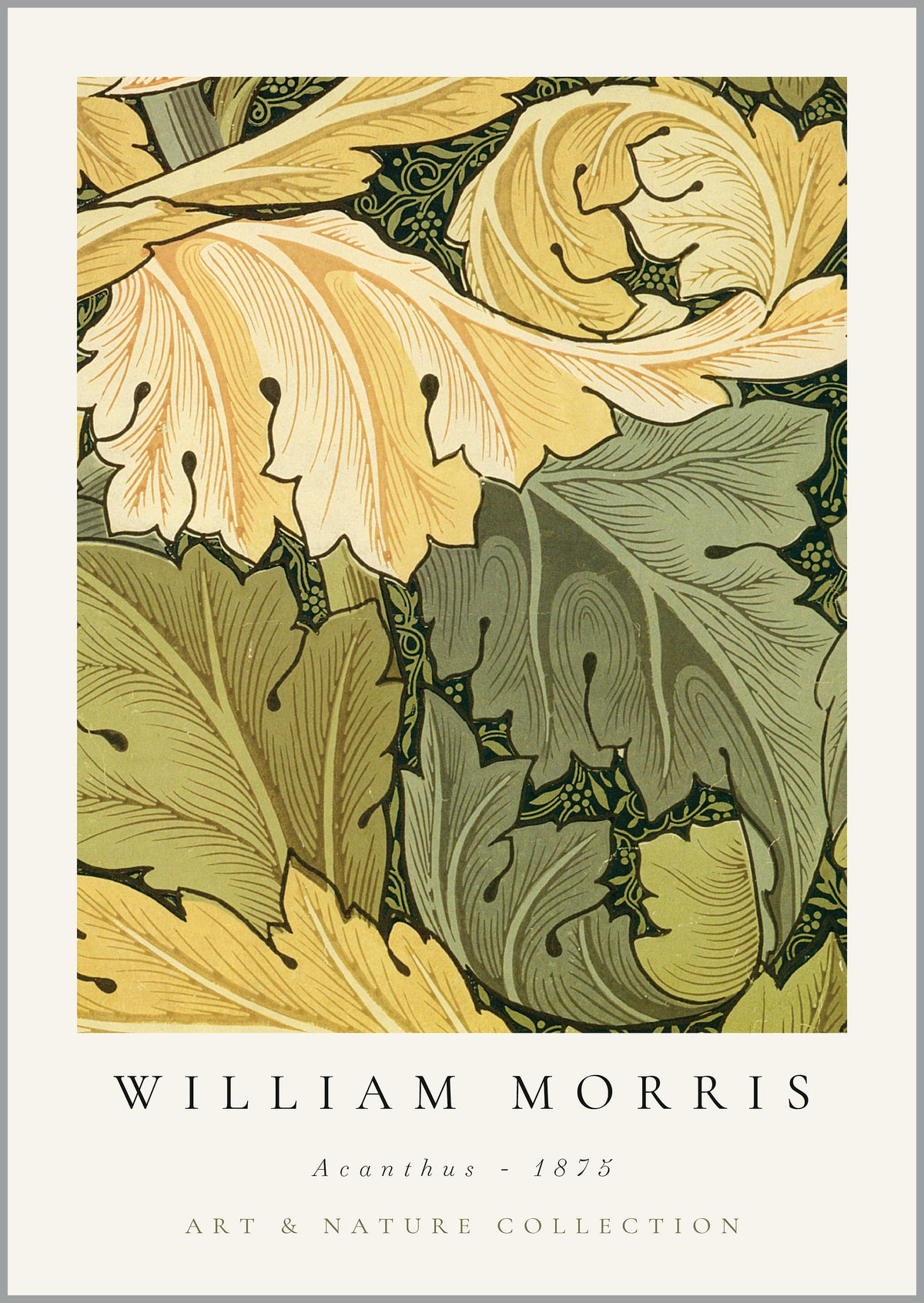William Morris Acanthus Print