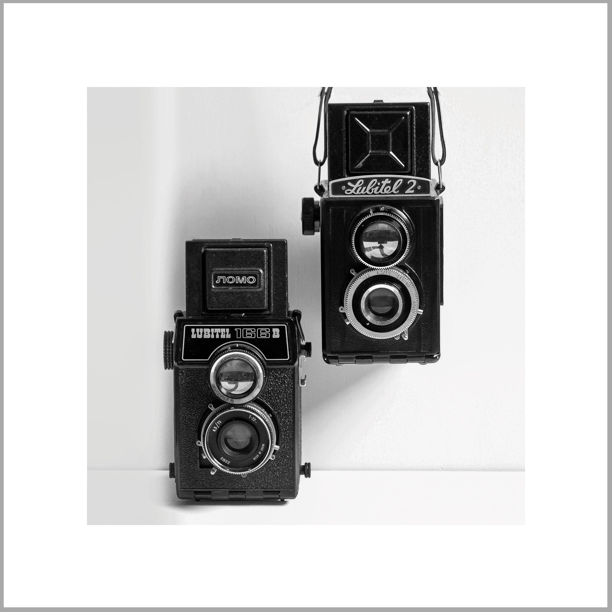 Camera Wall Art