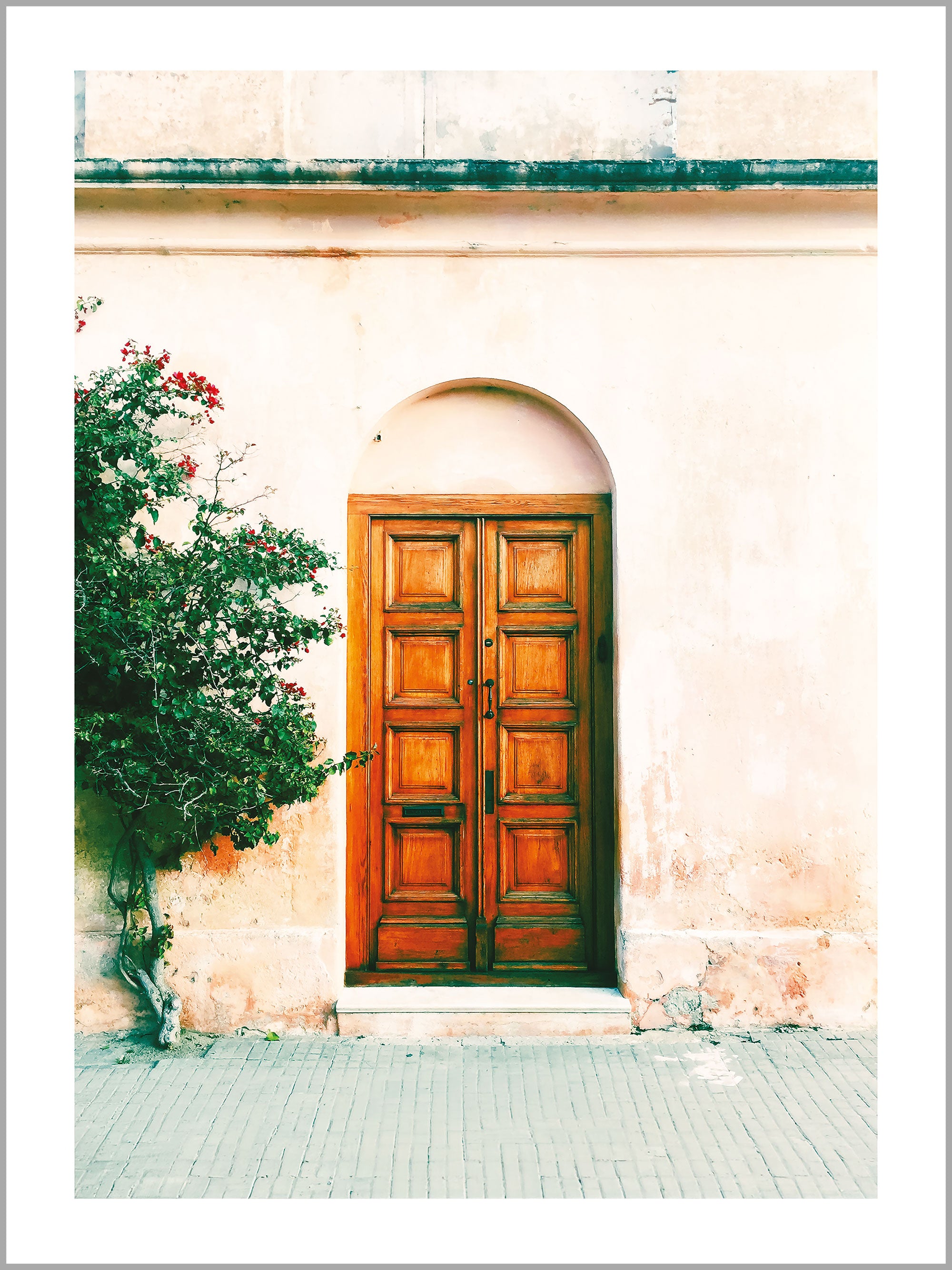Rustic Wooden Door Print