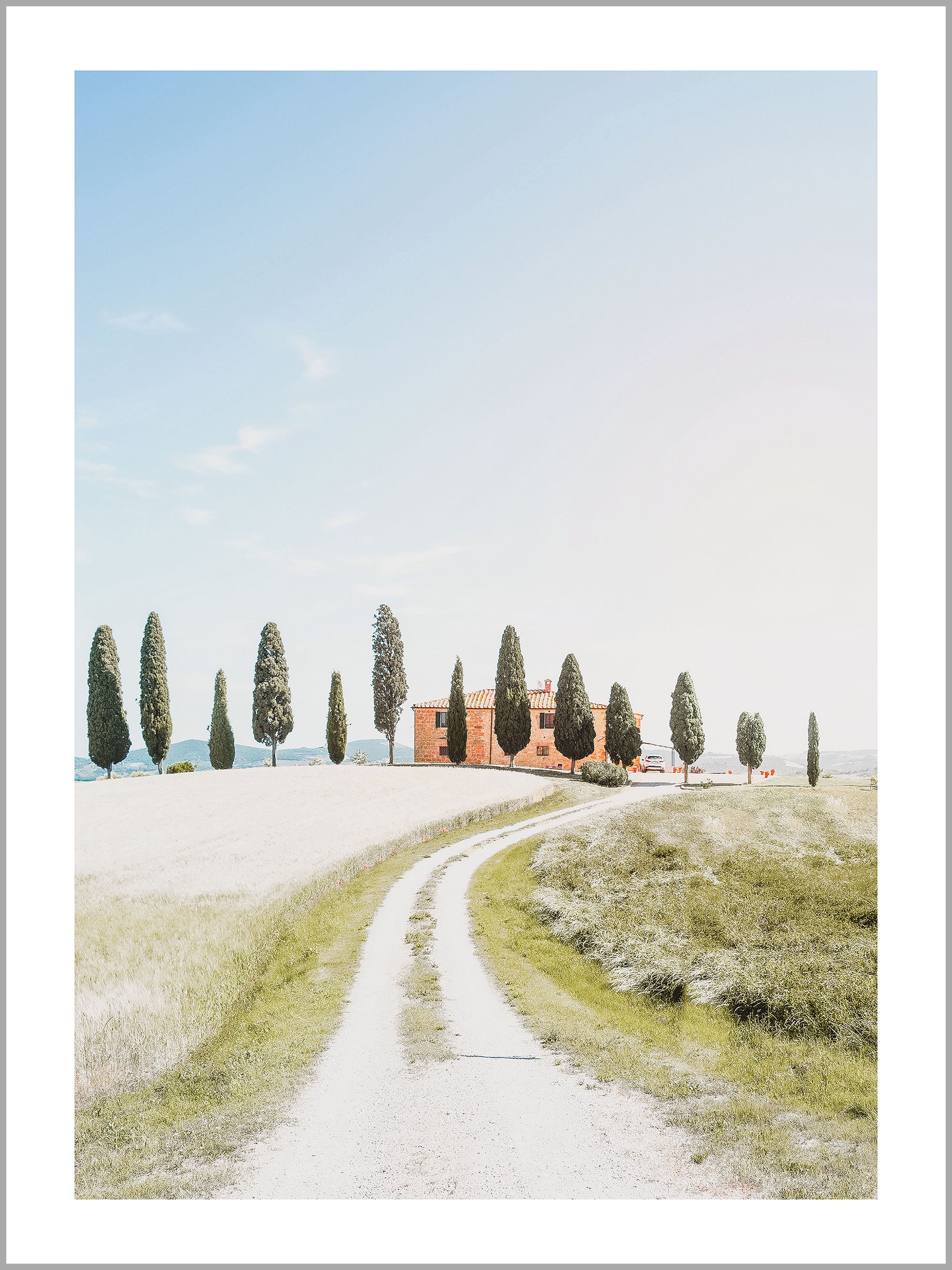 Tuscany Cypress Road Print