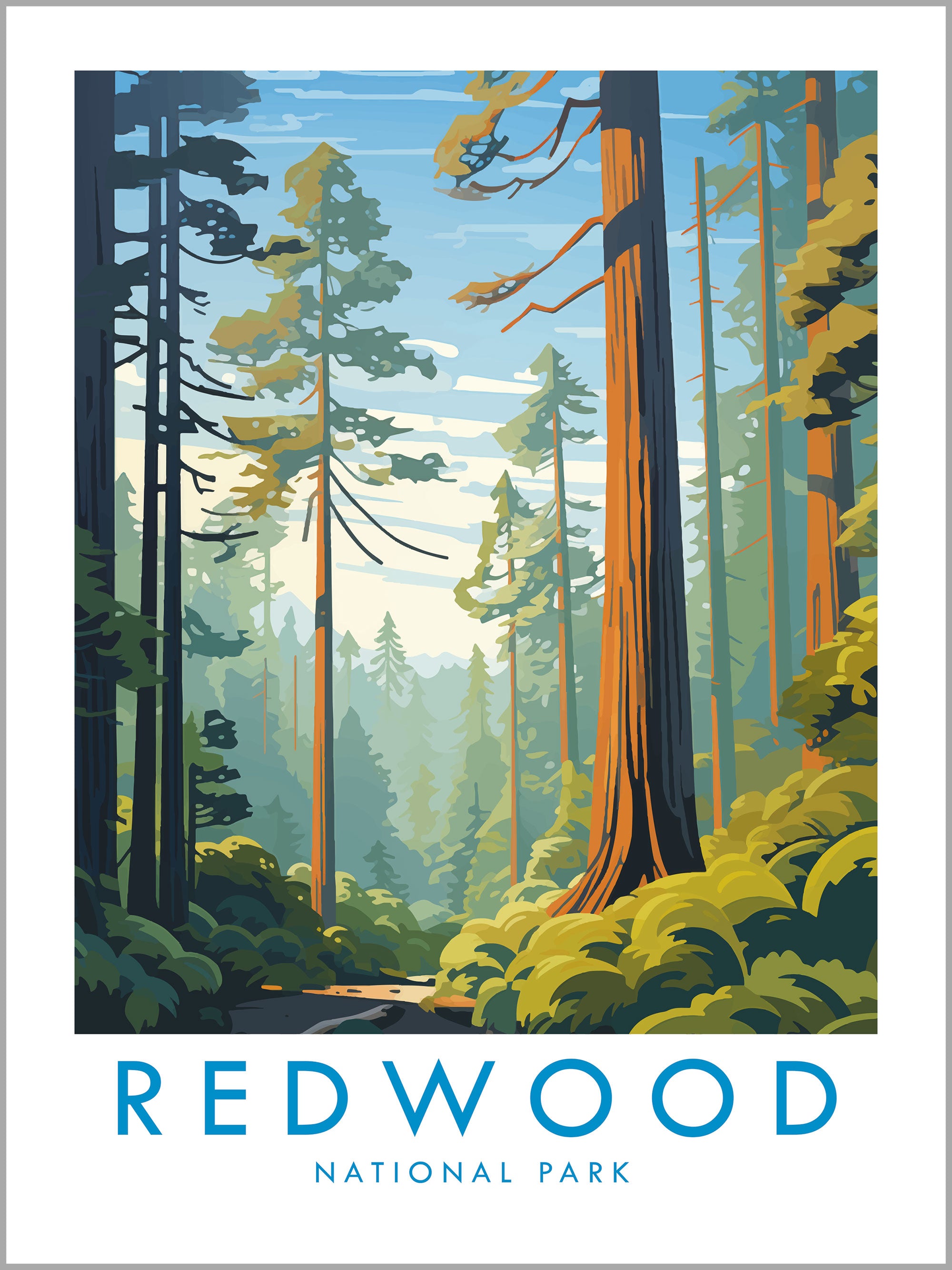 Redwood National Park Travel Print