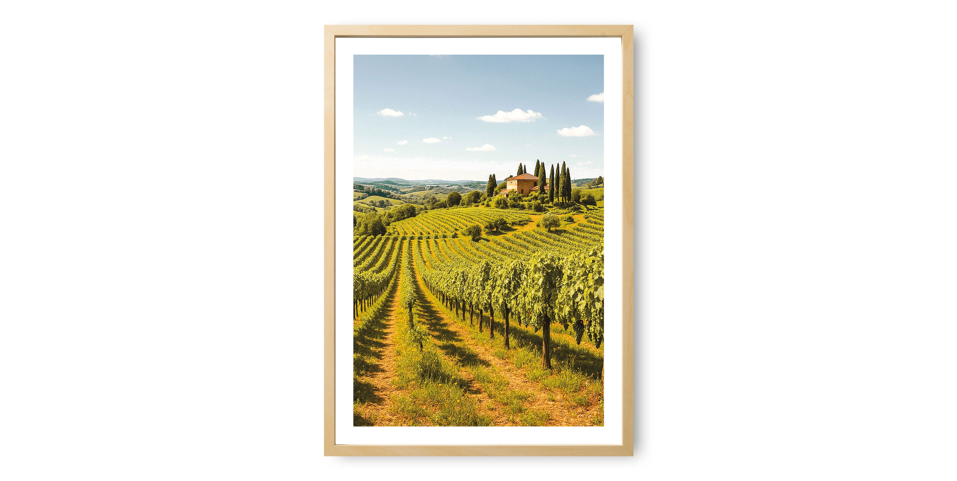 Tuscany Vineyard Landscape Print