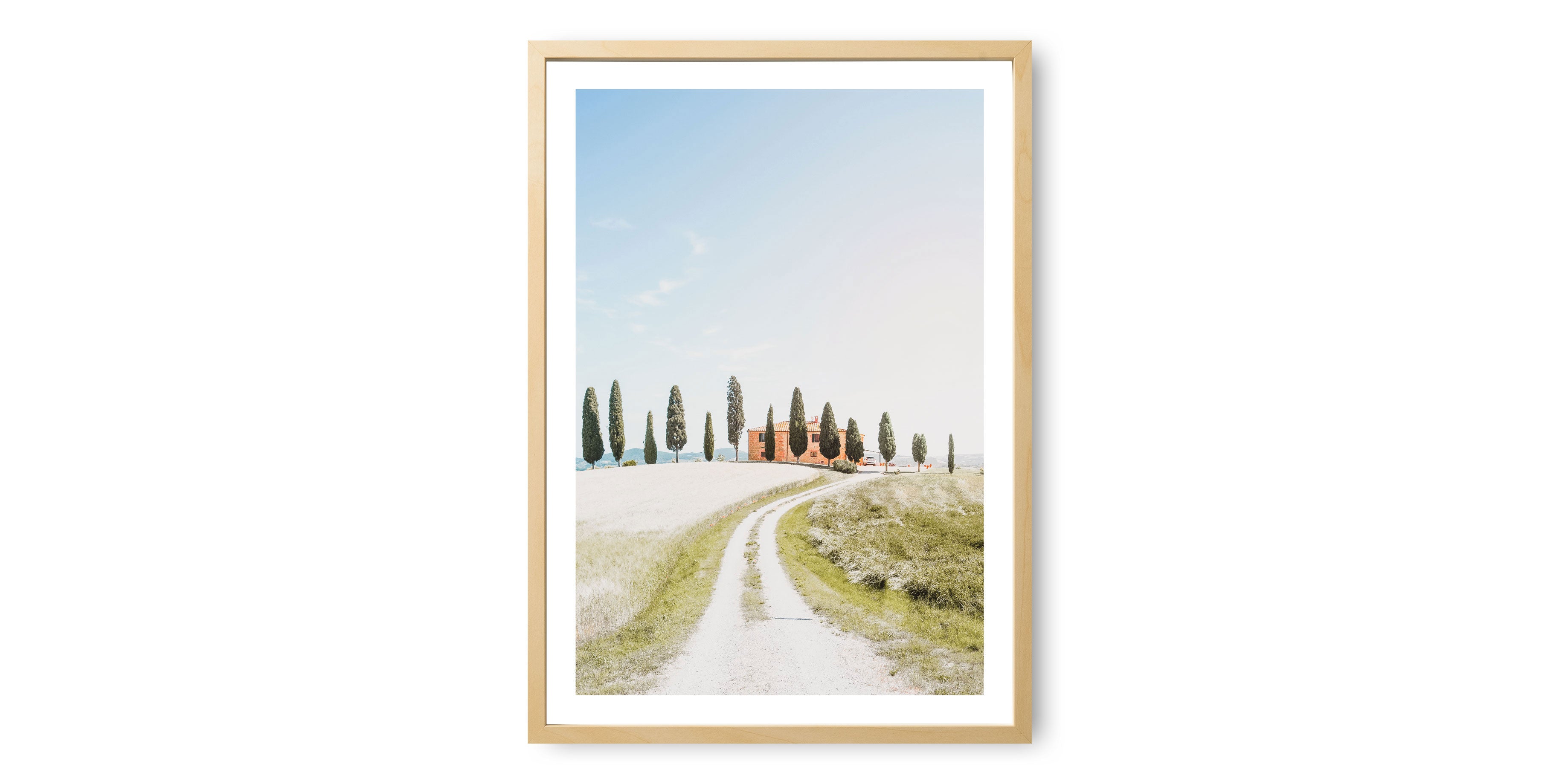 Tuscany Cypress Road Print