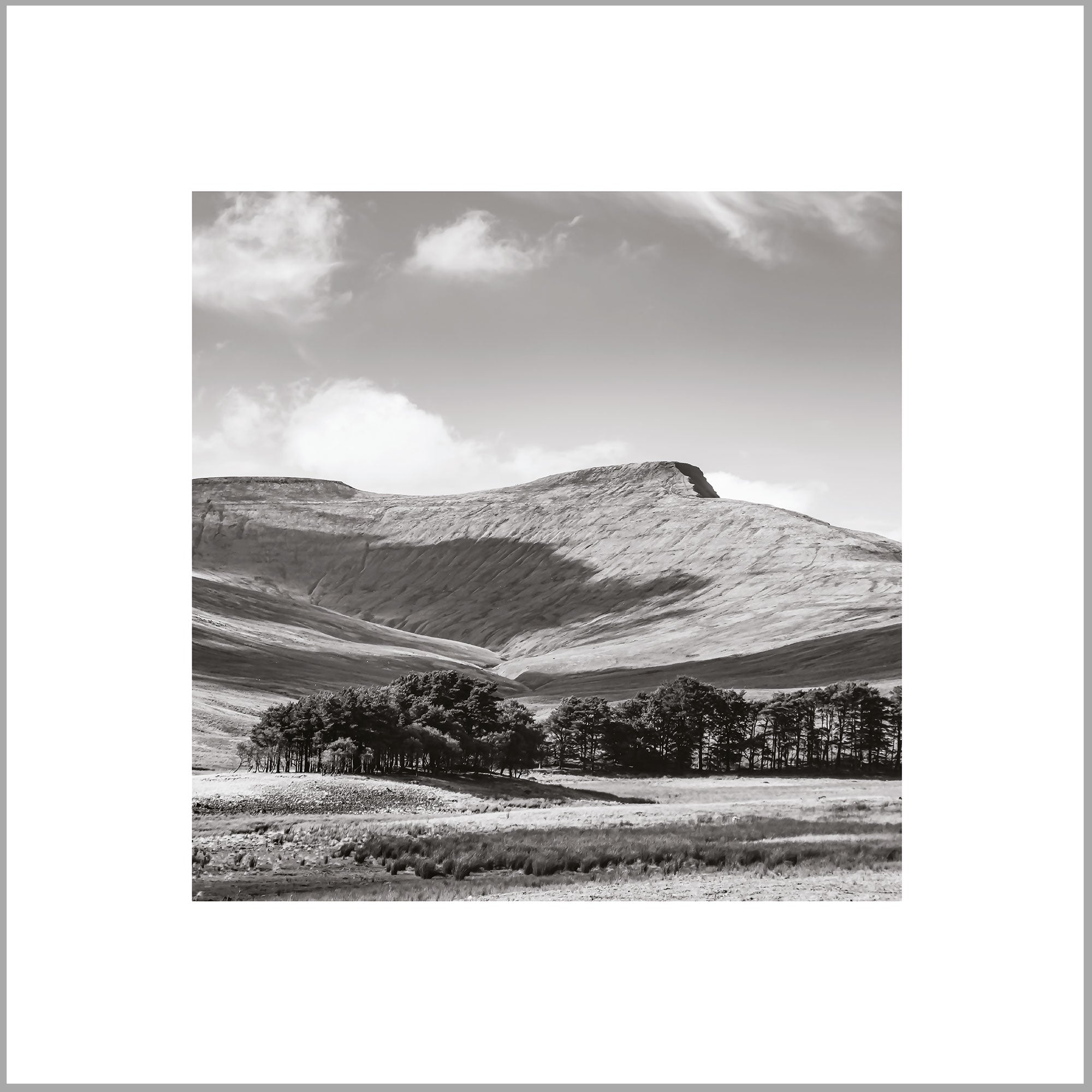 A black and white landscape photograph depicting a mountainous terrain with a cluster of trees in the foreground and a cloudy sky above.