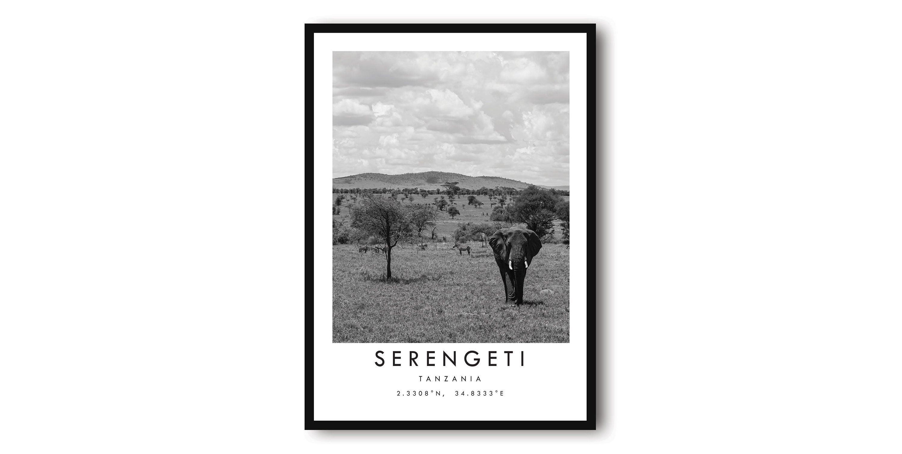 Serengeti Travel Print, Serengeti Poster, Unique Wallart Decor, Black and White Home Decor, Africa Minimalist Wallart, Tanzania