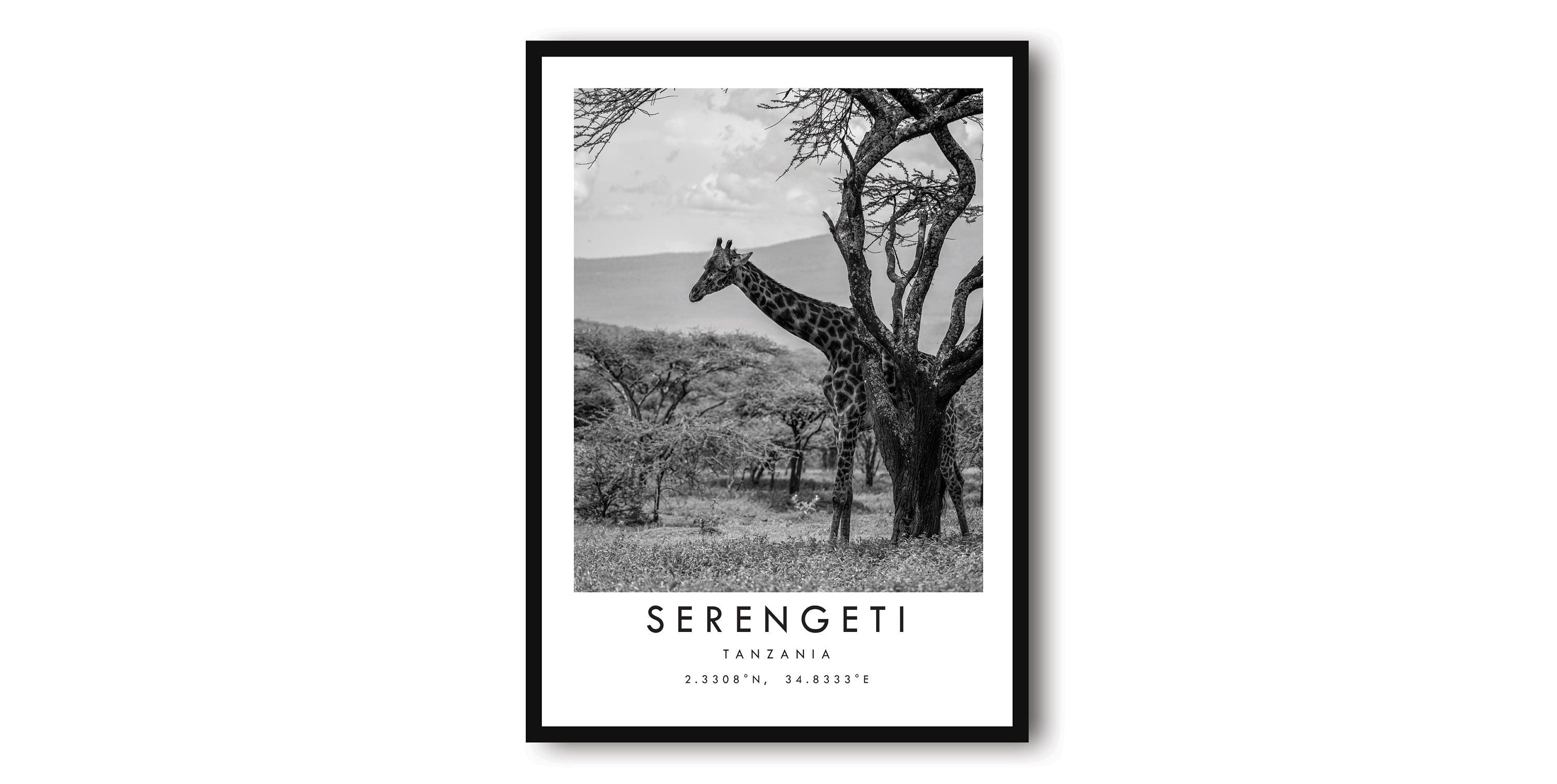 Serengeti Travel Print, Serengeti Poster, Unique Wallart Decor, Black and White Home Decor, Africa Minimalist Wallart, Tanzania